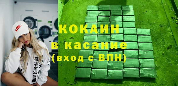 твердый Арсеньев