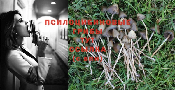 твердый Арсеньев